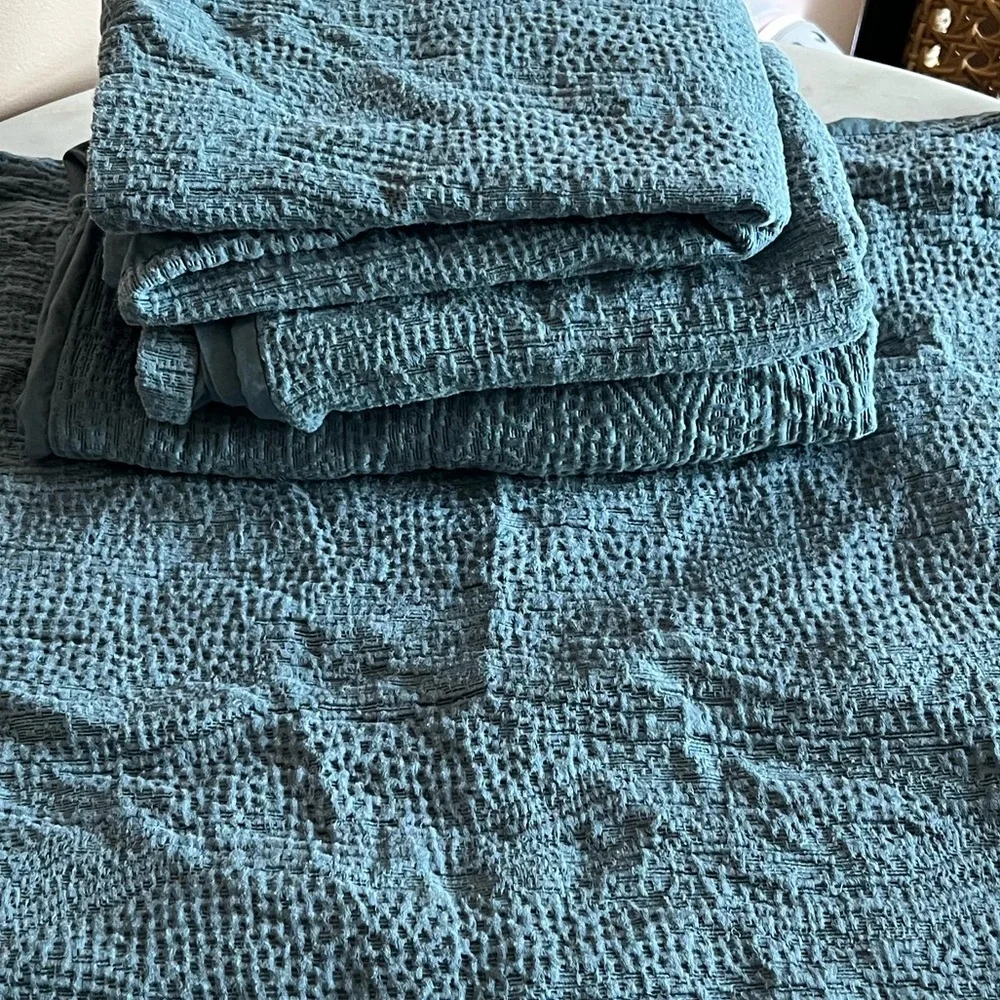West Elm Blue TENCEL Shams Euro Set